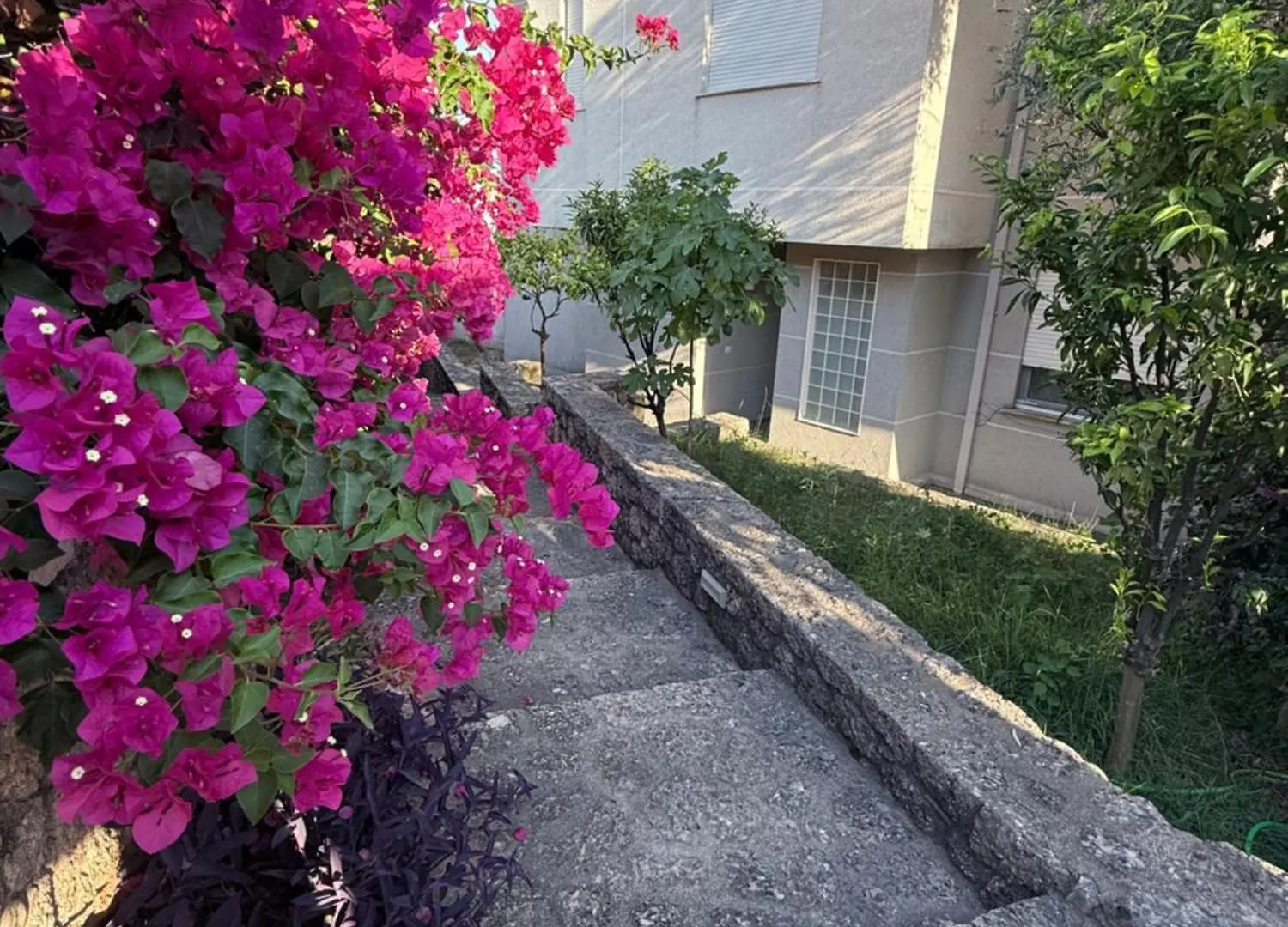 Polisi i Vogel Palmera Apartament דירה